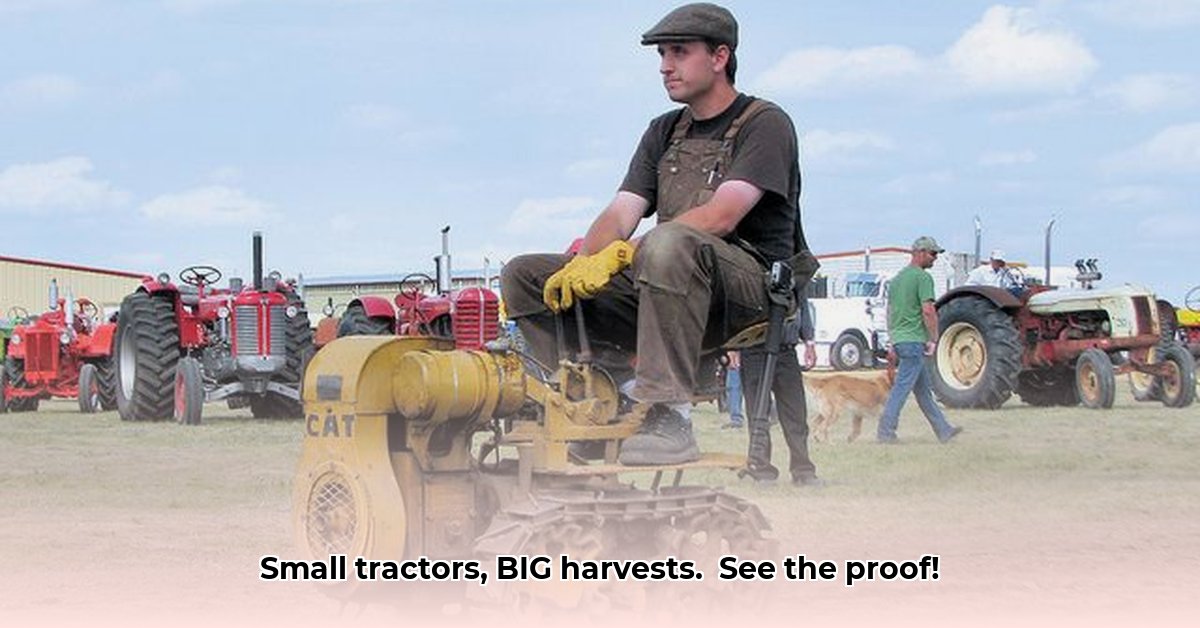 small-caterpillar-tractor